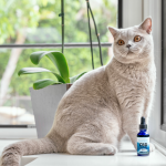 How to Choose the Right CBD Oil for Your Cat