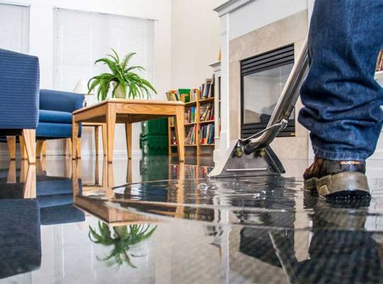 Reviving Residences: The Expertise of Water Damage Restoration