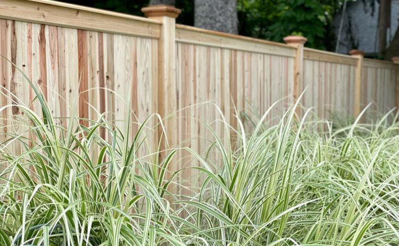 Crafting Secure Spaces: Excellence in Fence Contracting