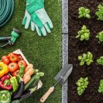 The Art of Irrigation: Mastering Your Garden’s Water Flow